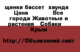 щенки бассет- хаунда › Цена ­ 20 000 - Все города Животные и растения » Собаки   . Крым